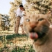 13 fotografías callejeras que lograron capturar la belleza de los gatos, presentadas en esta página de Instagram