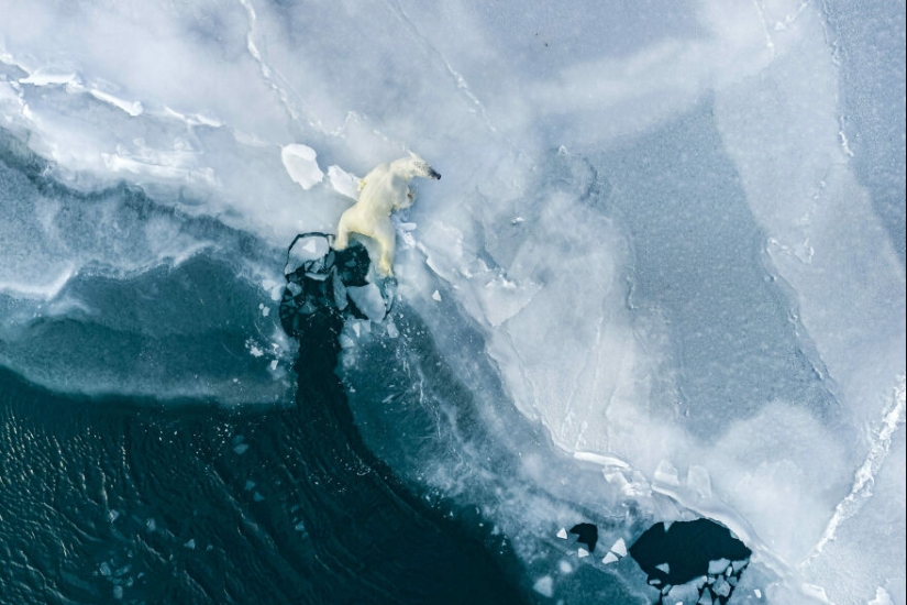 13 fotografías ganadoras de los premios Ocean Photography Awards 2023