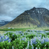 13 Surprising Facts About Iceland You Didn&#39;t Know About