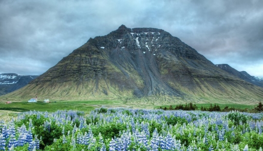 13 Surprising Facts About Iceland You Didn't Know About