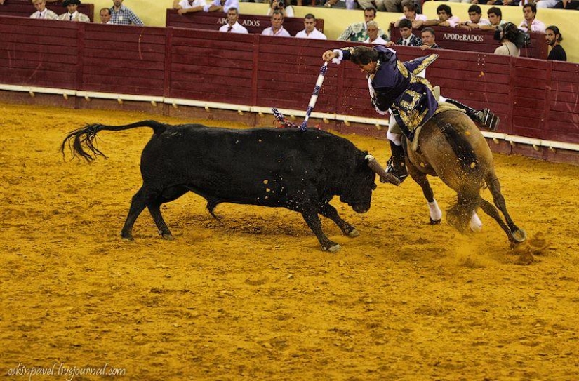 14 Curious Facts About Portuguese Bullfighting