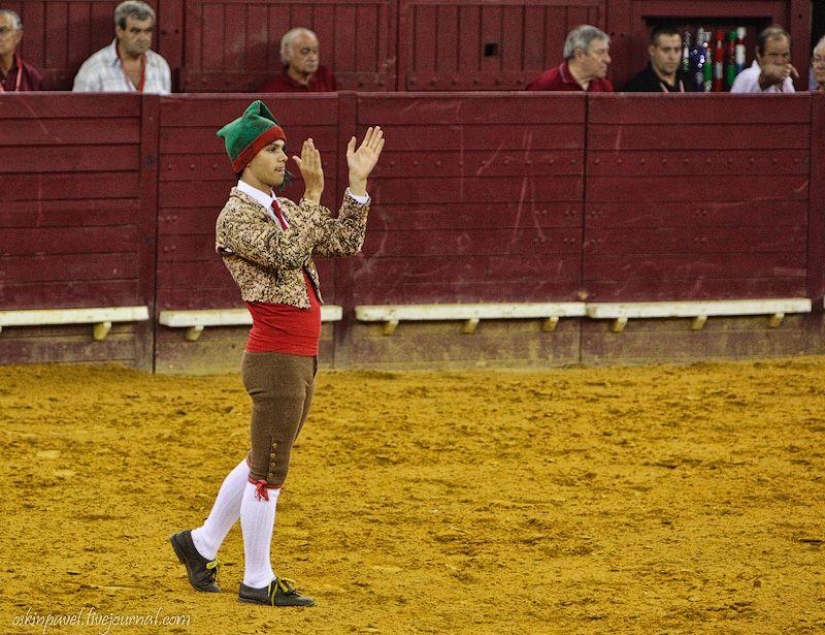 14 datos curiosos sobre la tauromaquia portuguesa