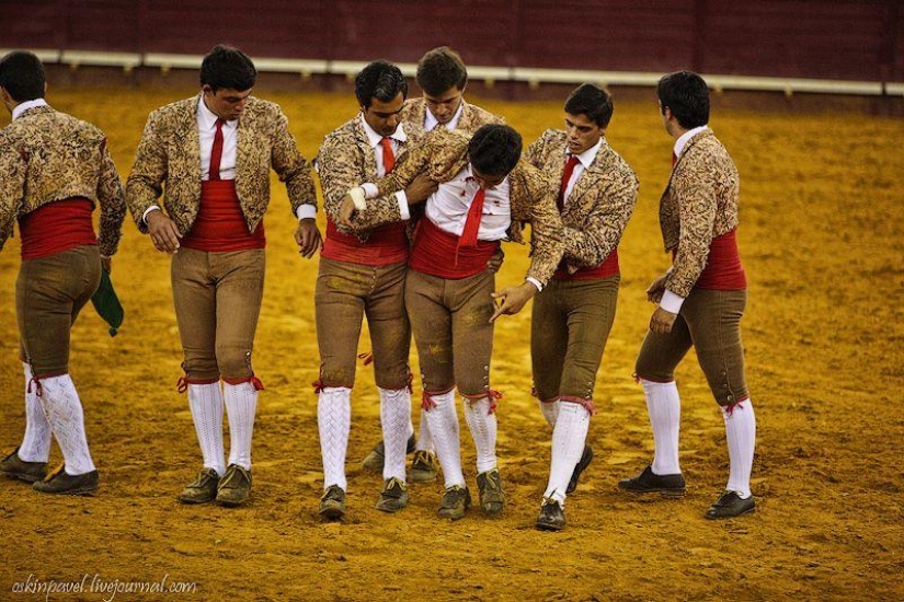 14 datos curiosos sobre la tauromaquia portuguesa