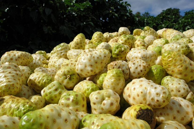 14 Exotic Fruits You Must Try