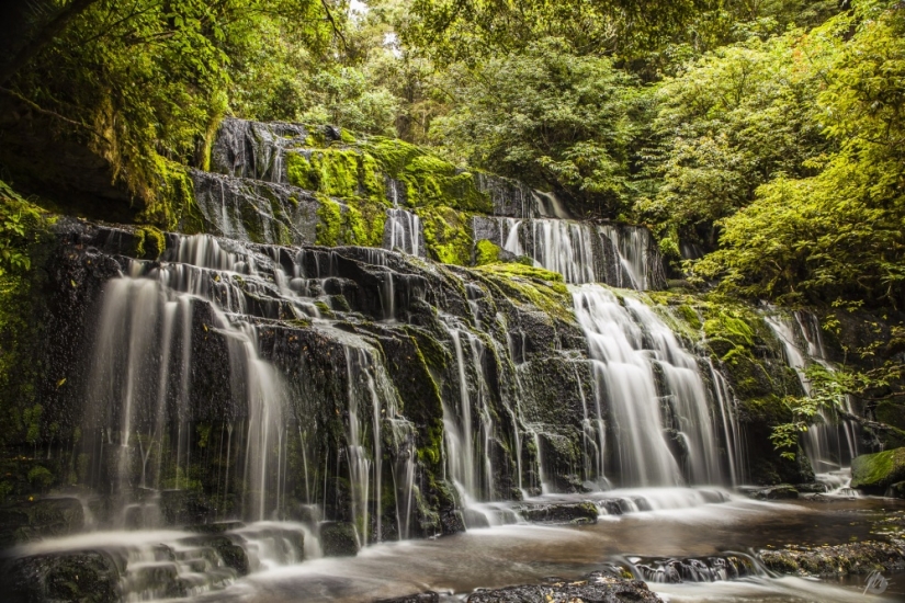 14 fotos con las que descubrirás la naturaleza mágica de Nueva Zelanda