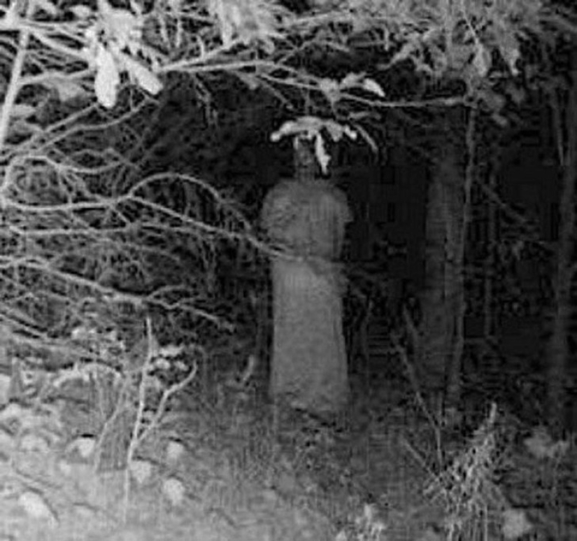 14 of the most eerie shots from hunting night vision cameras