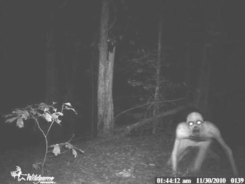 14 of the most eerie shots from hunting night vision cameras