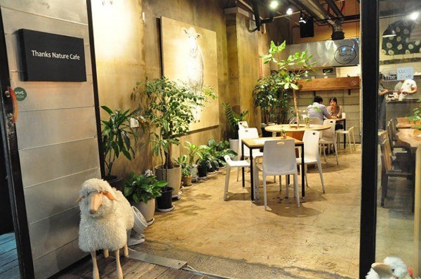 14 unique themed cafes in Seoul