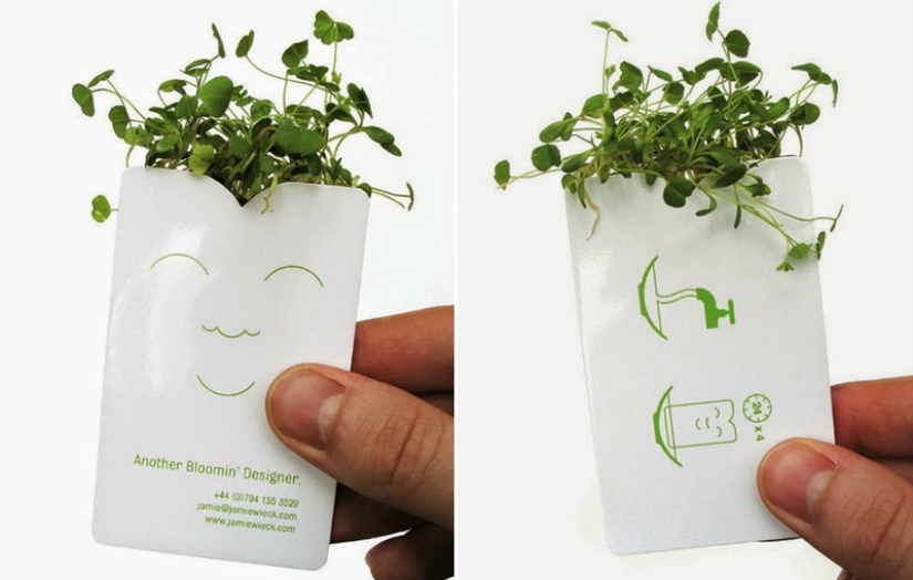 15 business cards that can glorify their owners all over the world