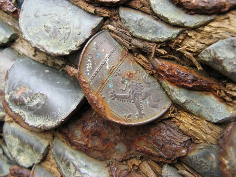 15 coin trees, or nightmares numismatists