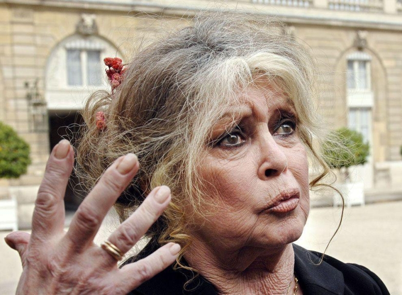 15 encarnaciones principales de Brigitte Bardot