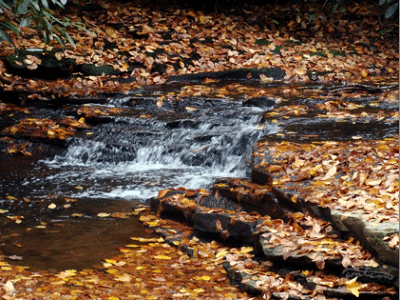 15 good reasons to enjoy the onset of autumn