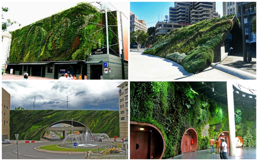 15 jardines verticales alrededor del mundo
