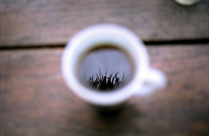 15 maneras de usar los posos de café de una manera ecológica