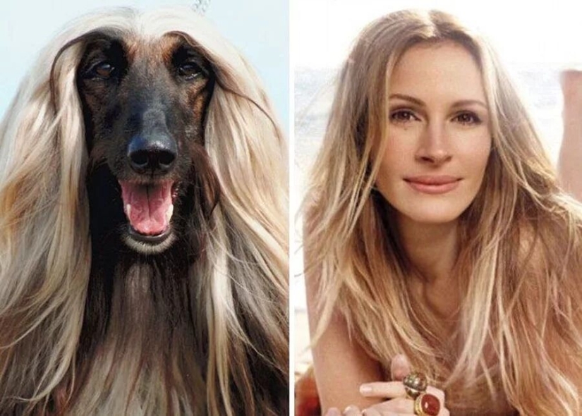 15 photos of celebrities and their animal counterparts