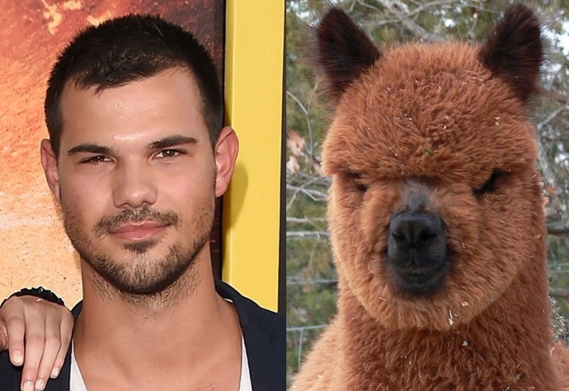 15 photos of celebrities and their animal counterparts