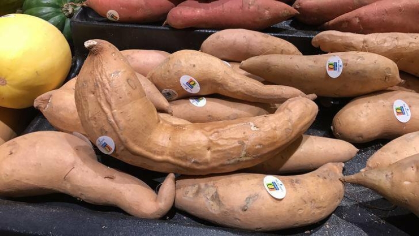 15 photos where ordinary things took a very unusual form