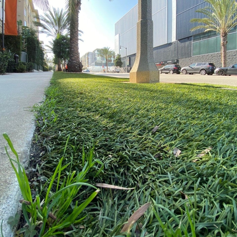 15 situaciones sorprendentes cuando la naturaleza irrumpió en la civilización y comenzó a dictar sus reglas