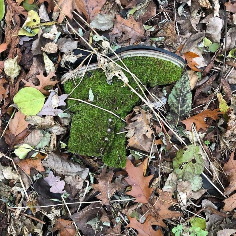 15 situaciones sorprendentes cuando la naturaleza irrumpió en la civilización y comenzó a dictar sus reglas