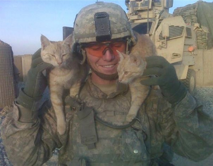 15 soldiers with their ... cats