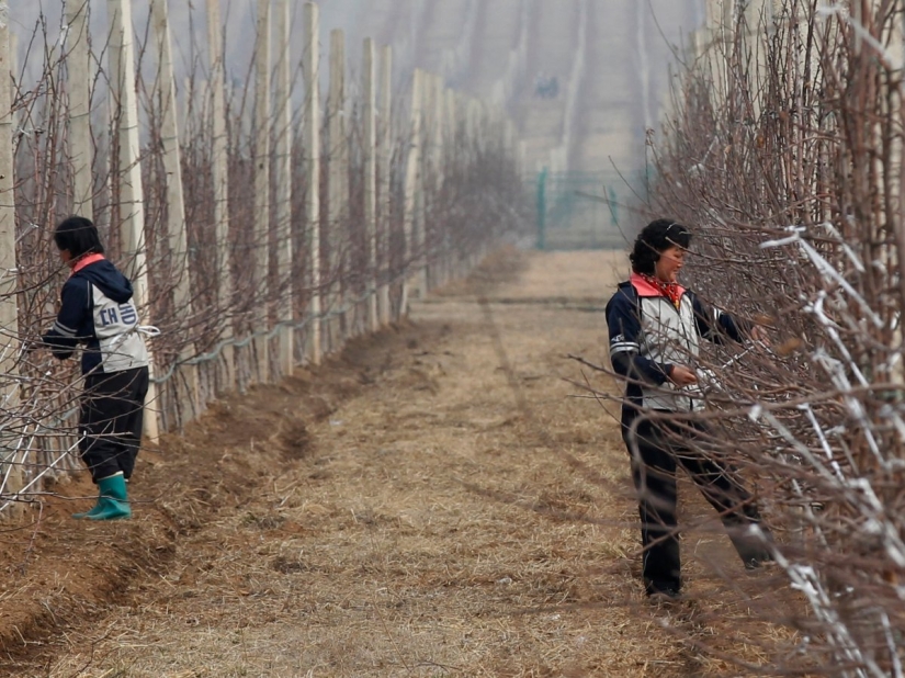 16 hechos sorprendentes sobre Corea del Norte