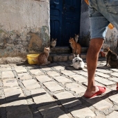 16 Smartphone Shots Documenting Life On The Streets Of Tunisia By This Photographer