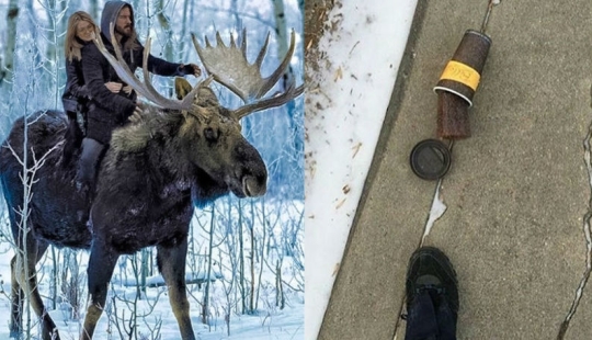 16 things You'll only see in Canada
