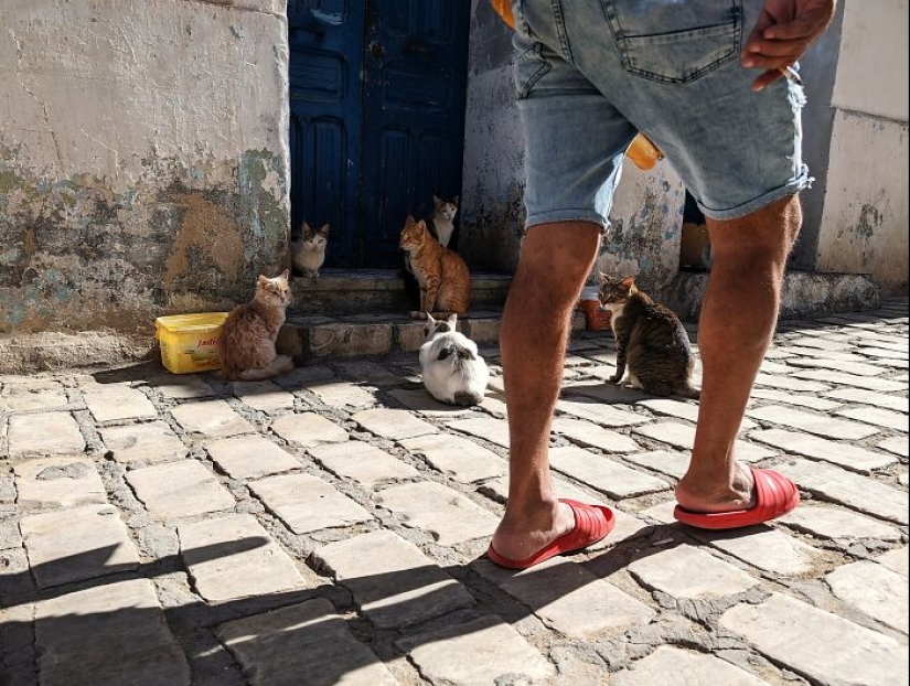 16 tomas de teléfonos inteligentes que documentan la vida en las calles de Túnez tomadas por este fotógrafo
