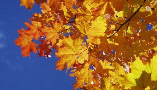 17 reasons to rejoice at the arrival of autumn