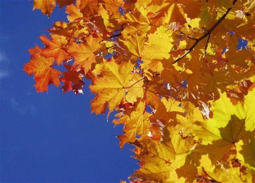 17 reasons to rejoice at the arrival of autumn