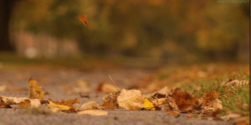 17 reasons to rejoice in the arrival of autumn