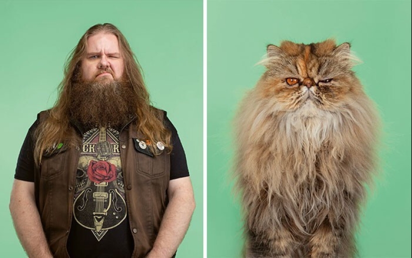 17 retratos de gatos y personas, increíblemente similares entre sí