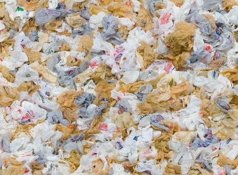 19 artículos que no deben tirarse a la basura