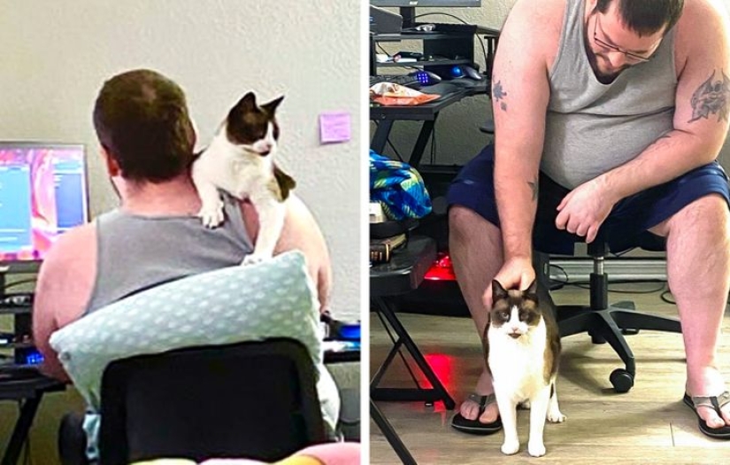 19 cat lovers who know how to get along with their pets