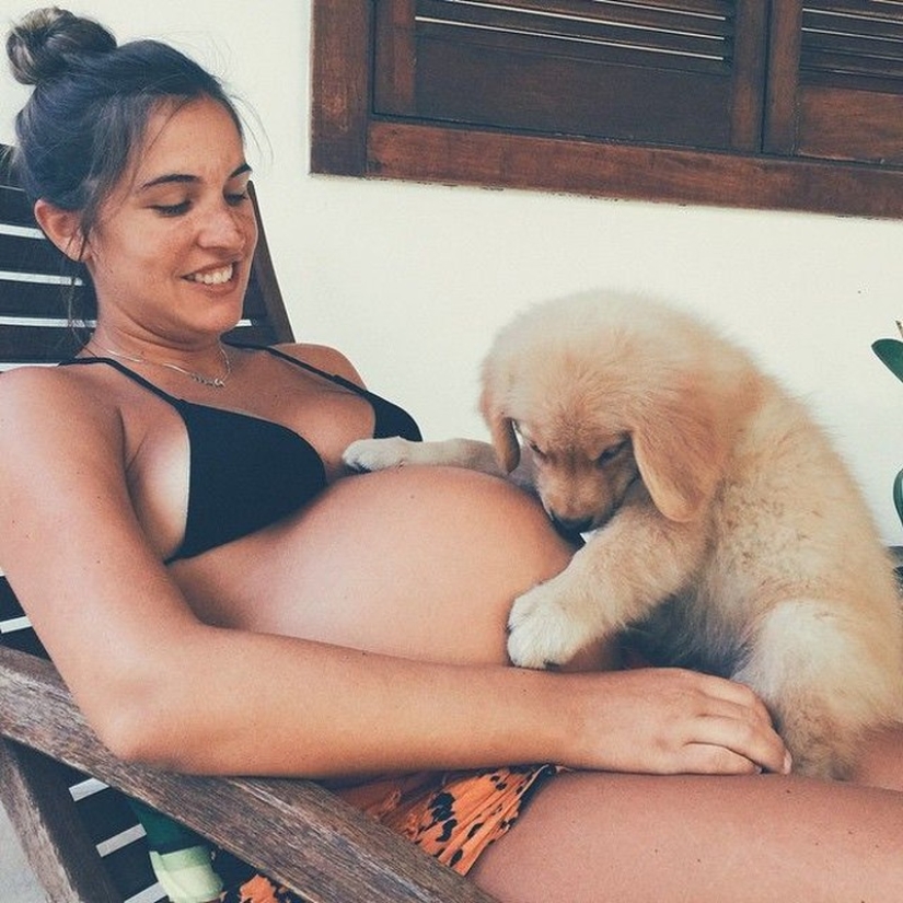 19 Dogs Who Really Look forward to having babies