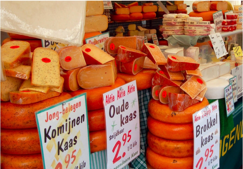 19 reasons to love the Netherlands