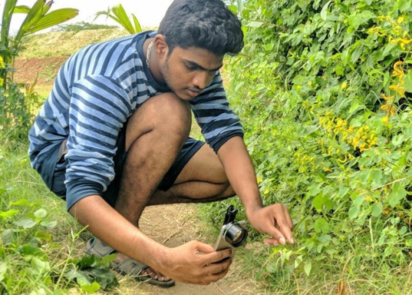 20-año-viejo Indio hace una increíble foto de los insectos en el teléfono
