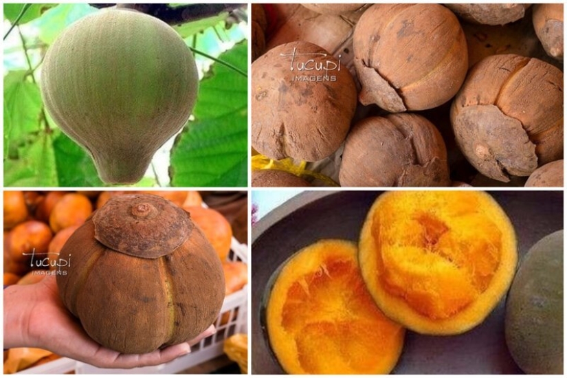 20 edible fruit, which you have not even heard