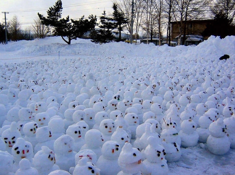 20 ejemplos de qué más, además de un muñeco de nieve, se puede hacer de nieve