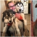 20 + funny photos of dogs with which something clearly went wrong