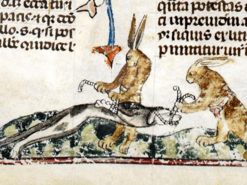 20 killer rabbits from medieval books: why these animals were painted as evil