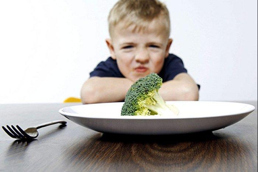 20 mitos comunes sobre la nutrición adecuada