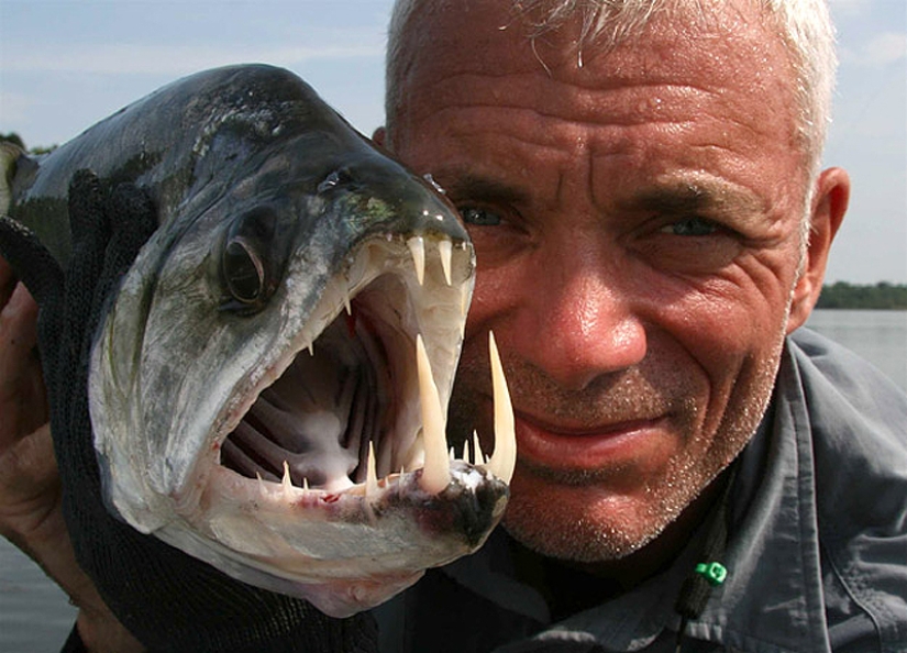 20 most amazing river monsters