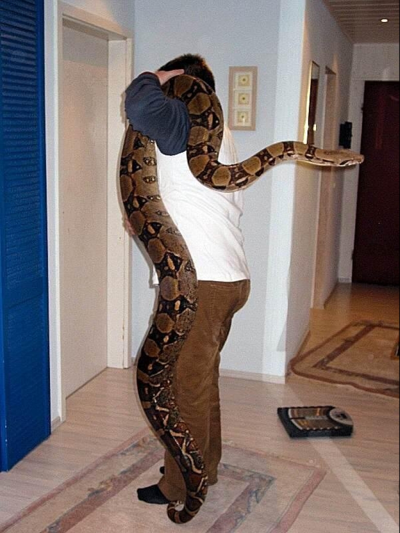 20 people who got a python, but did not calculate its size