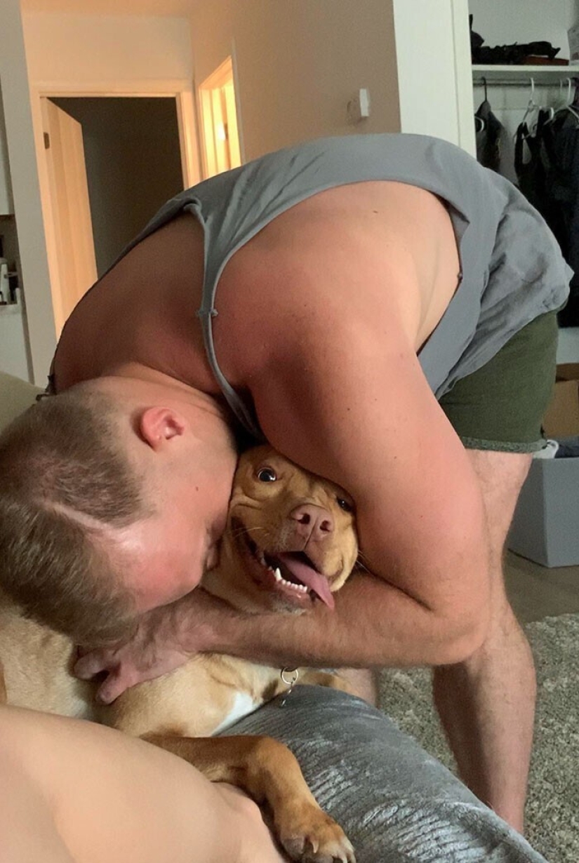 20+ Pets that shamelessly took the second halves of their owners