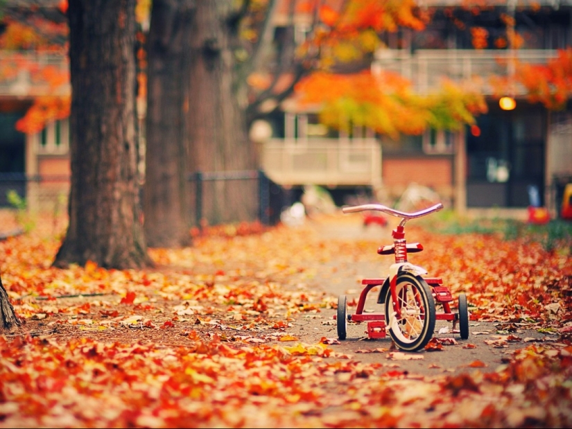 20 photos in which autumn is fantastically beautiful