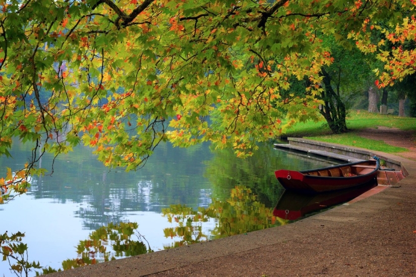 20 photos in which autumn is fantastically beautiful