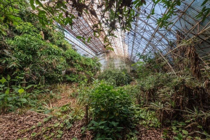 20 photos of incredibly beautiful abandoned places in Japan