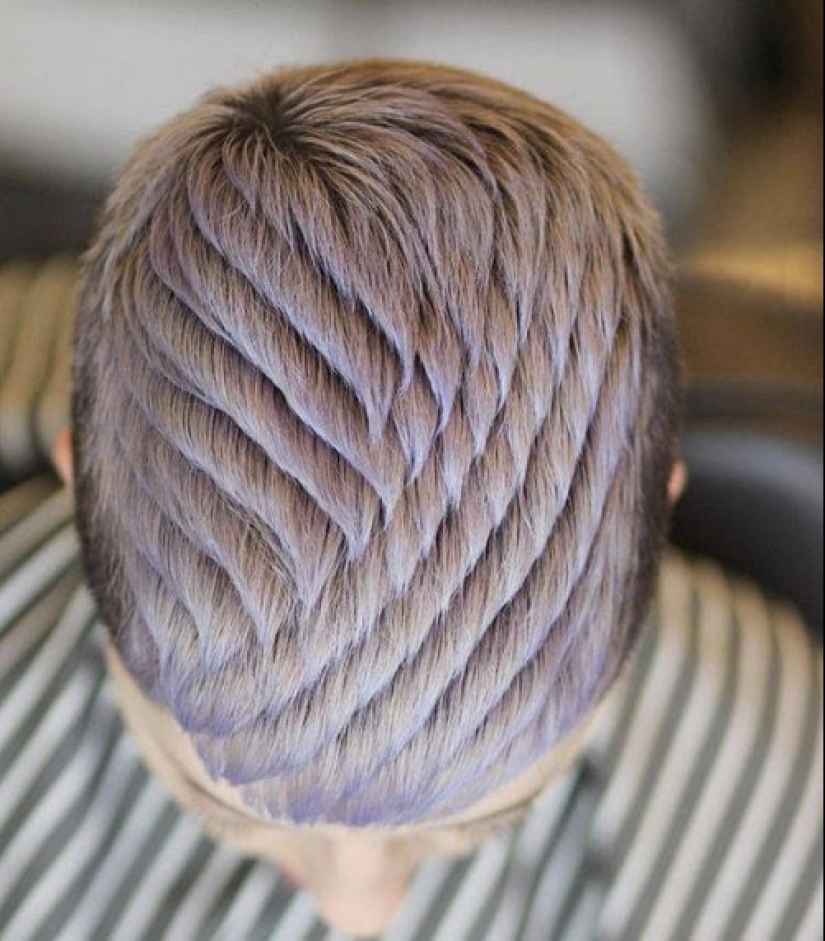 20 photos that will give you aesthetic pleasure Pictolic