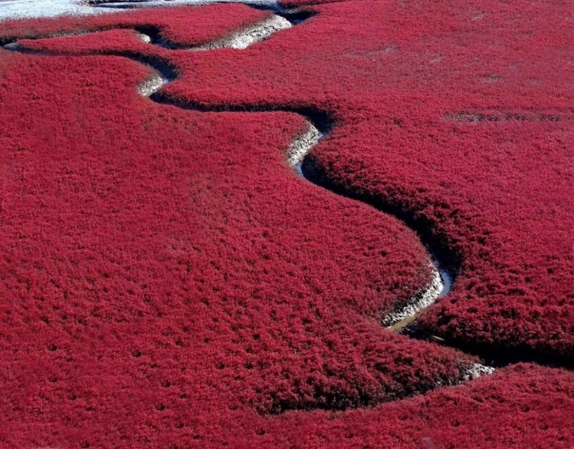 20 places on the planet where nature has spared no colors